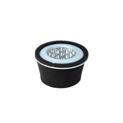 Filtre A Air Rb20