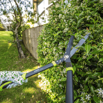 Cisaille Taille Haie Manche Bimatière 275Mm – Image 2