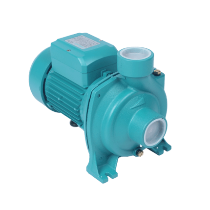 Pmc250 Pompe De Surface 2Cv 220V 2"/2" Atlantic